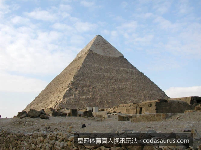 皇冠体育真人视讯新手入门：从零基础到精通的玩法指南